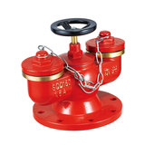SQD150-1.6A 多用式消防水泵接合器（地下式）