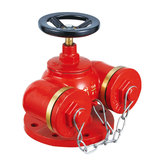 SQD100-1.6 多用式消防水泵接合器（地上式）