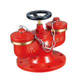 SQD100-1.6A 多用式消防水泵接合器（地下式）