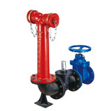 SQS150-1.6 地上式消防水泵接合器
